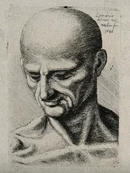 Busto di un Uomo Magro, che Guarda in Basso a Destra